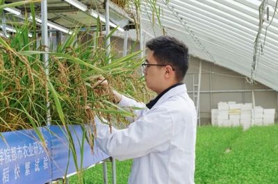 國際首次試驗成功，核心技術源自天府新區科技推廣與應用服務